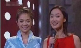 娱乐圈吃瓜小三是谁啊,揭秘背后真相与争议