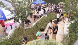 吃瓜群众在线围观朝阳,吃瓜群众在线围观大戏上演