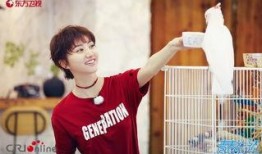 吃瓜娱乐圈王源,娱乐圈的瓜田，他的成长与蜕变